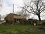 Immagine 12