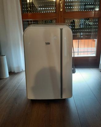 Condizionatori portatili