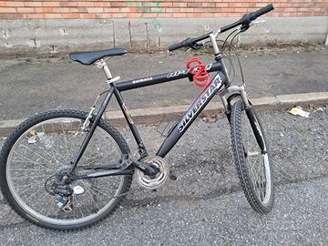 Bici da passeggio 26