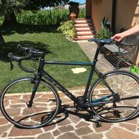 Bicicletta in carbonio