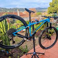 MTB bergamont revox team 