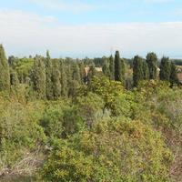 POGGIO DEI PINI, PAULIARA, PANORAMICO TERRENO EDIF