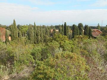 POGGIO DEI PINI, PAULIARA, PANORAMICO TERRENO EDIF