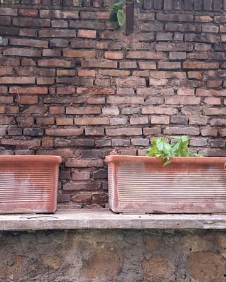 Fioriere in terracotta di qualità