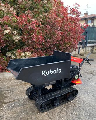 M175- Motocarriola Kubota