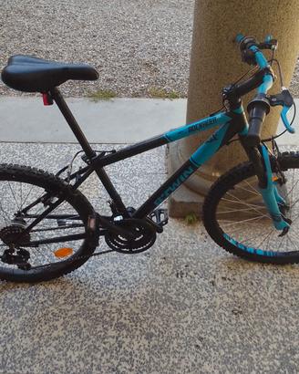 Mountain bike