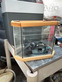 Acquario