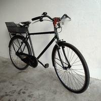 Bicicletta uomo raggio 28