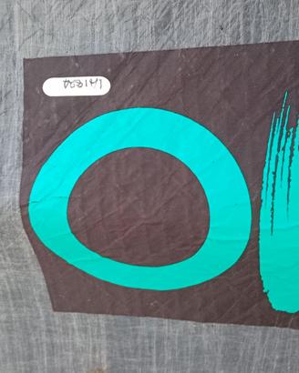 Vela Quantum Sails 10 12