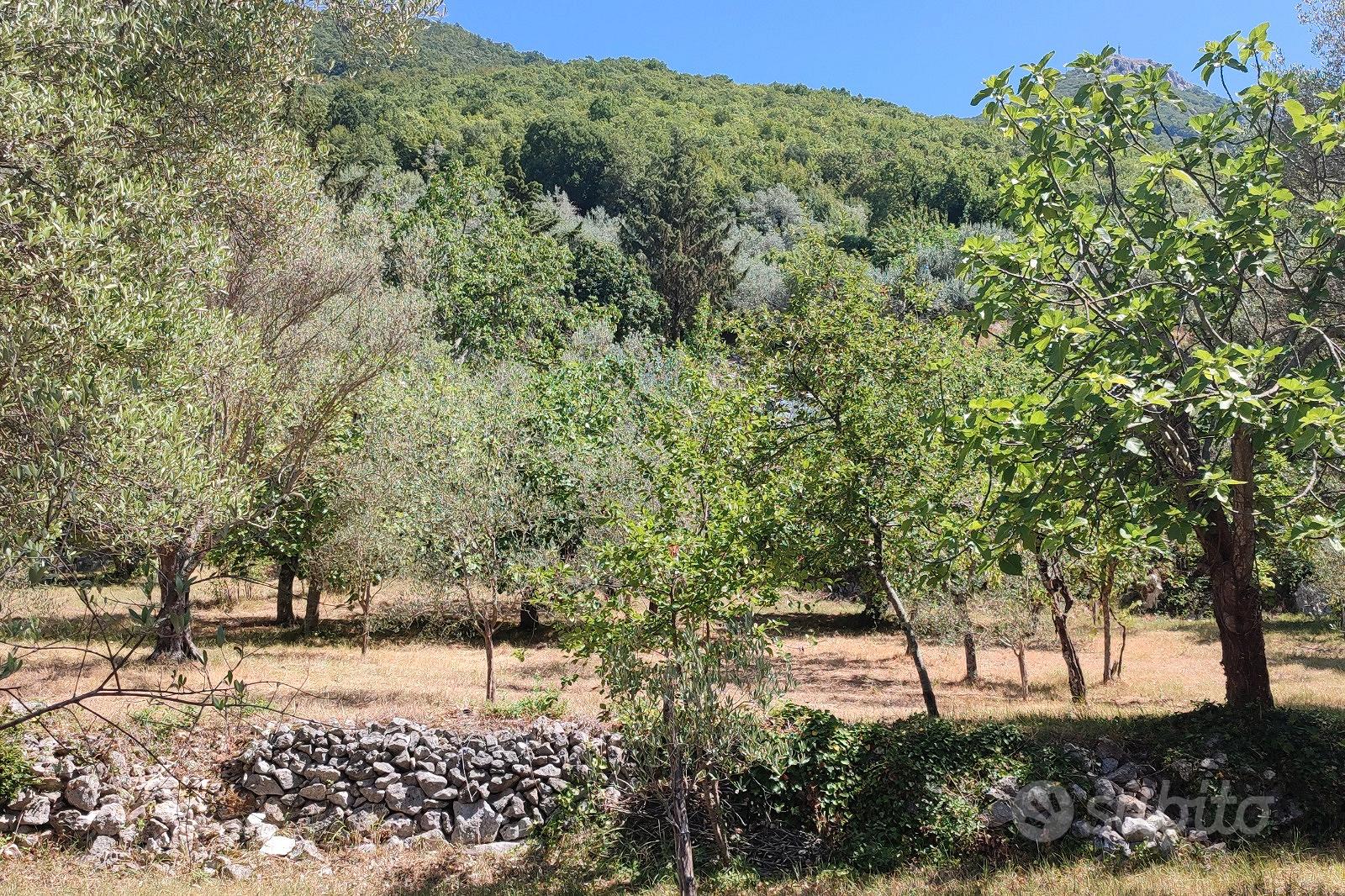 Monolocale via Ospedale, Fontegreca - Vista 5
