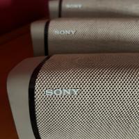 Sony SRS-XB33 Speaker bluetooth cassa audio