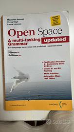 Libro open speace