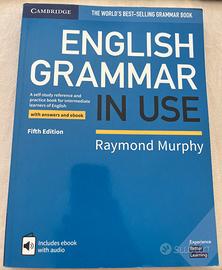 English Grammar in Use