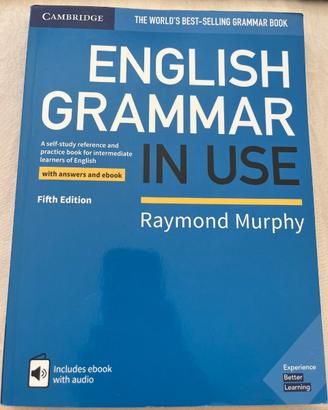 English Grammar in Use