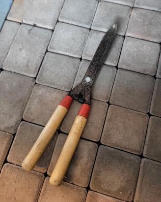 Forbice per potatura
