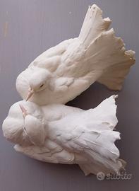 Colombe pavoncelle - Bepy Tay -Scultura porcellana