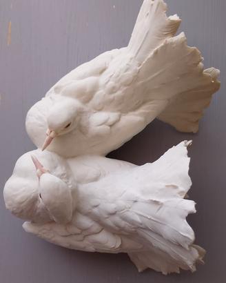 Colombe pavoncelle - Bepy Tay -Scultura porcellana