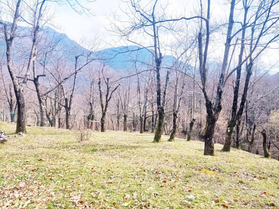 TER. AGRICOLO A SERINO - Vista 4