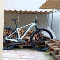Scott scale 920