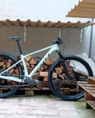 Scott scale 920