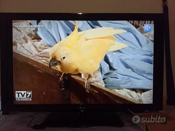Televisore LG 42"  con decoder 