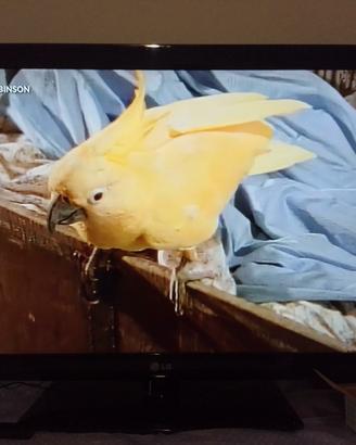 Televisore LG 42"  con decoder 