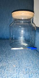 Terrarium e vasi per terrarium