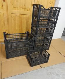 8 cassette di plastica per ortaggi.