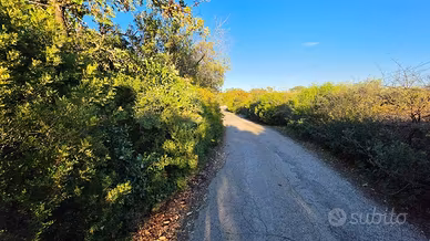 Terreno di 17184 m² a Putignano