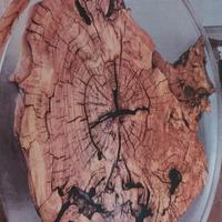 tavolino
