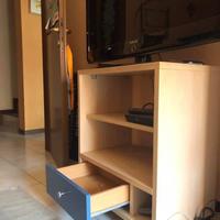 Mobile TV