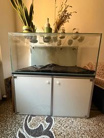 ACQUARIO DA 460L COMPLETO DI TUTTO - ZONA GENOVA