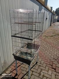 gabbia per uccellini
