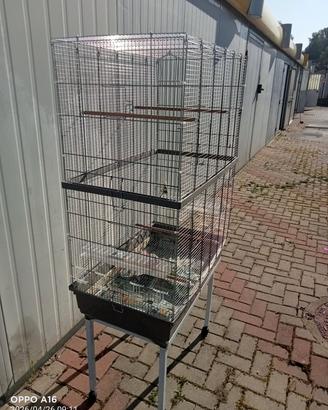 gabbia per uccellini