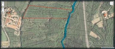 Terreno agricolo con uliveto