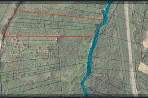 Terreno agricolo con uliveto