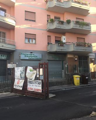 Box doppio Fuori Sant' Anna Aversa