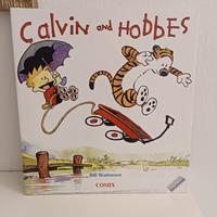 Fumetti Calvin and Hobbes