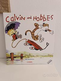 Fumetti Calvin and Hobbes