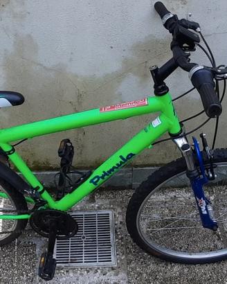 bici mtb raggio 26 