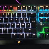 Razer Blackwidow V3 full
