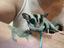 Immagine 4