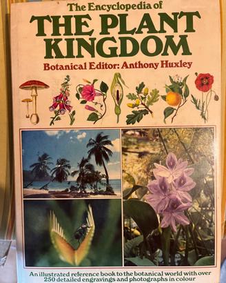 The plant kingdom Anthony Huxley