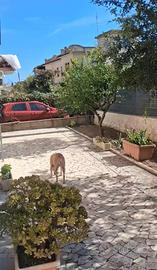 Anzio trilocale con balcone e giardino