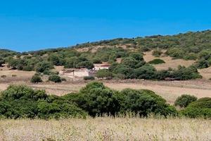 Sant ' antioco - terreno con rudere