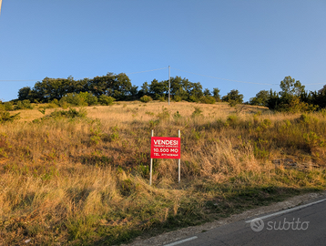 Terreno agricolo mq 10500