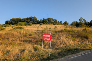 Terreno agricolo mq 10500