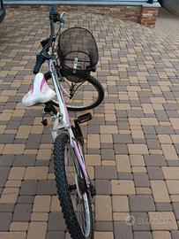 bici da 24