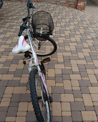 bici da 24