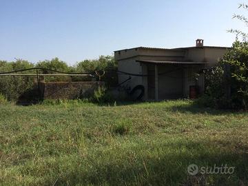 Terreno agricolo Assemini via S.Maria mq. 5.157